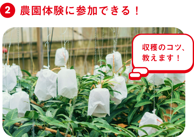 ポイント2 農園体験に参加できる！